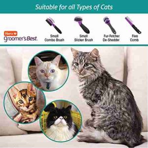 How to Brush a Cat 4 cat brush types