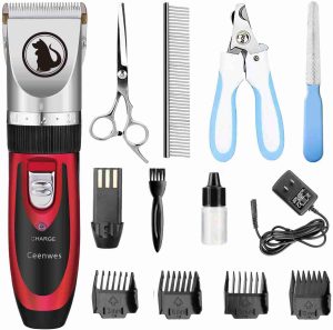 How to Groom A Bengal Cat 3 cat grooming tools