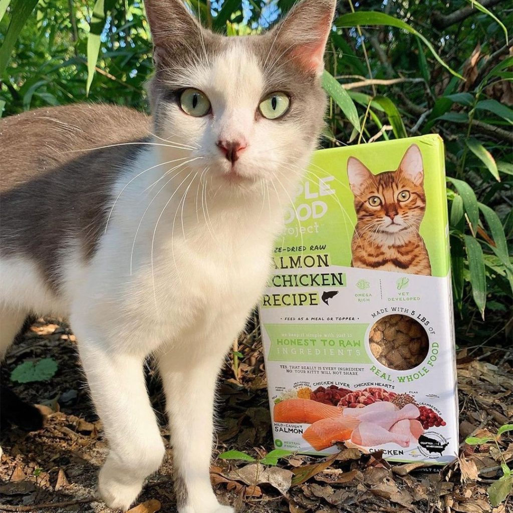 How to Deshed a Cat 5 proper cat nutrition