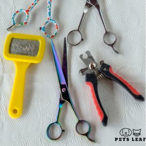How to Groom A British Longhair Cat 3 grooming tools