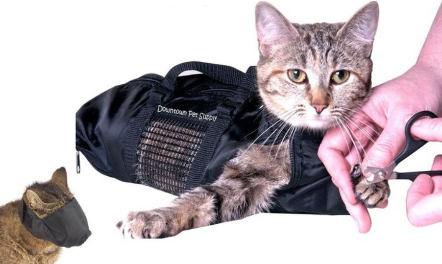 How to Use a Cat Grooming Bag 5 grooming a cat in a cat bag