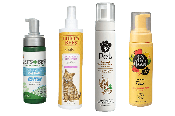 5 Best Shampoo for Cats 4 Types of Cat Shampoos
