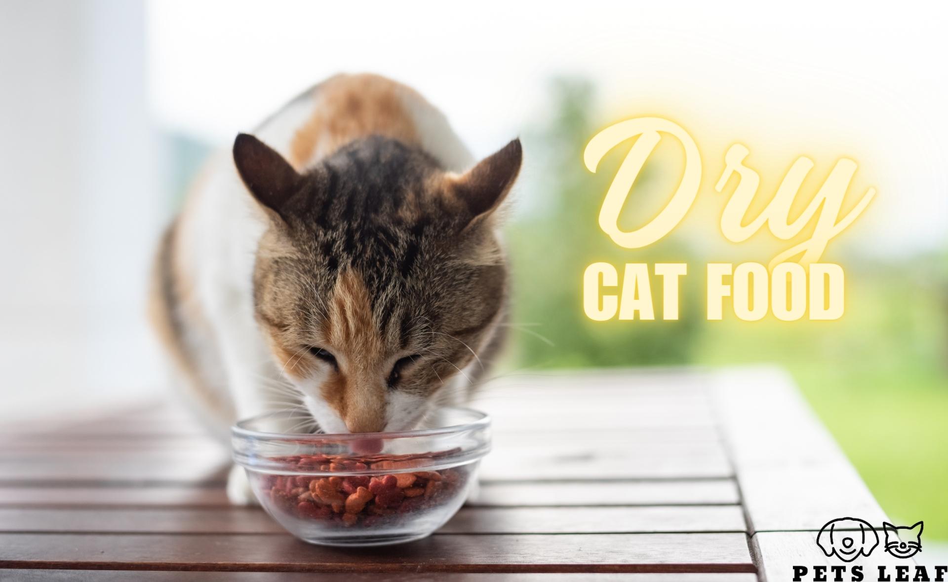 Dry Cat Food: Pros & Cons, Benefits, and Top Products 3 Dry Cat Food