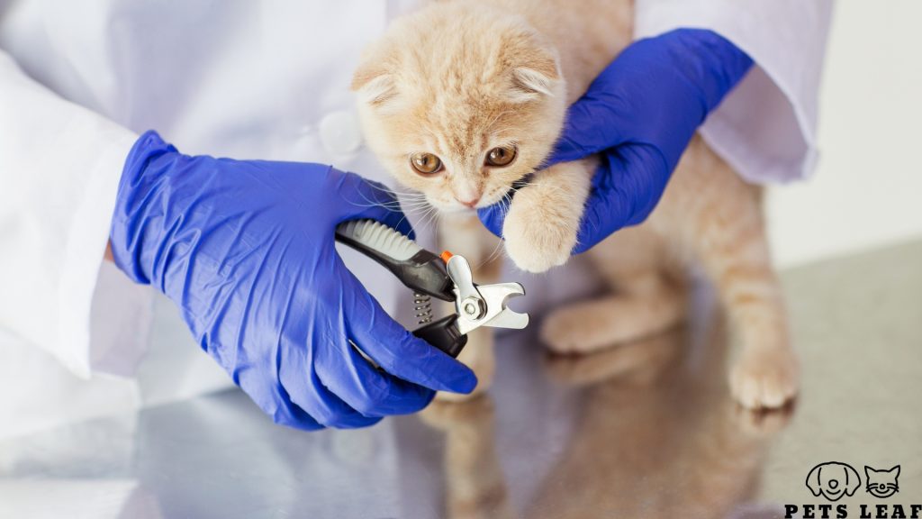 best cat nail clippers