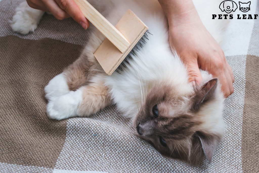 The Ultimate Guide to Controlling Cat Shedding 3 control cat shedding