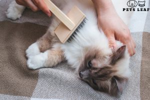 Pets Leaf 12 control cat shedding