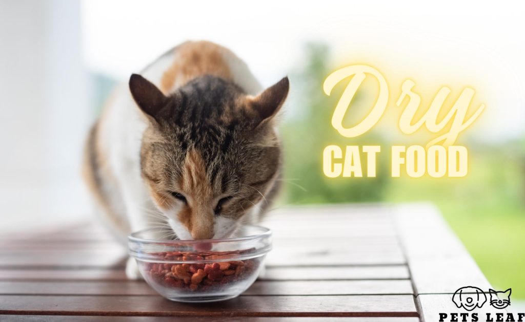 Dry Cat Food: Pros & Cons, Benefits, and Top Products 12 Dry Cat Food